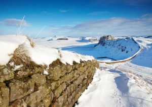 pic credit: David Webb photography